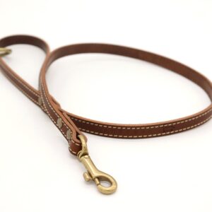 leash by n.t.cow