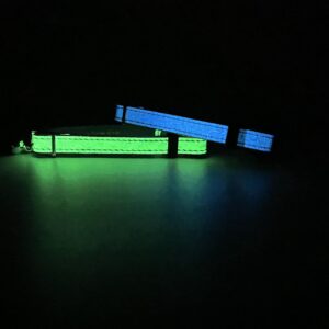 Luminas  for cat by elemore