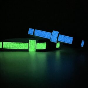 Luminas  for dog by elemore