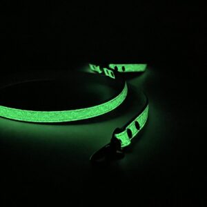 Luminas  leash by elemore